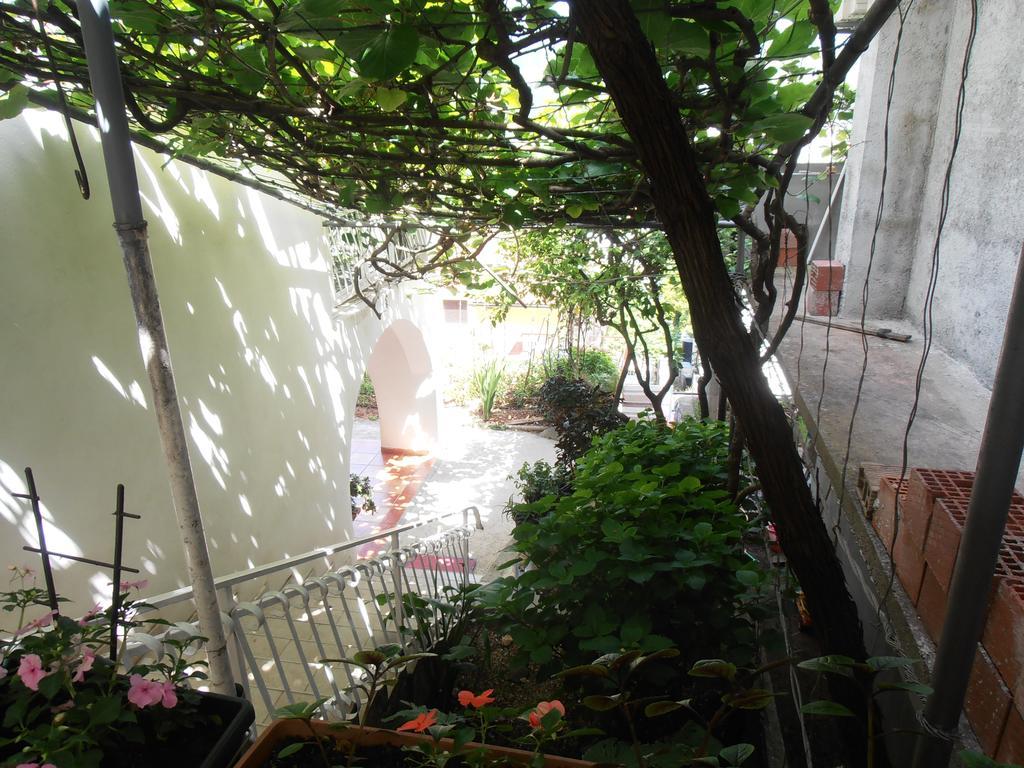 Apartmani Zeljko Vujovic Budva Exterior foto